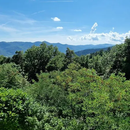 La Du Parc - Alsace & Vosges * Niedermorschwihr