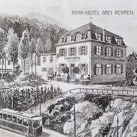 Apartament La Du Parc - Alsace & Vosges *