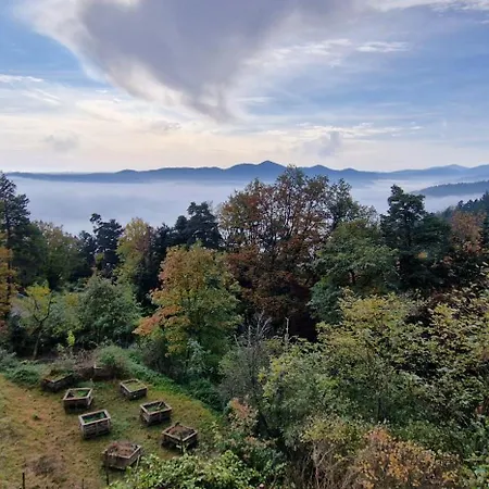 La Du Parc - Alsace & Vosges Niedermorschwihr